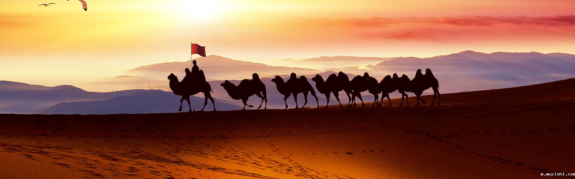 华体汇体育官网入口专显