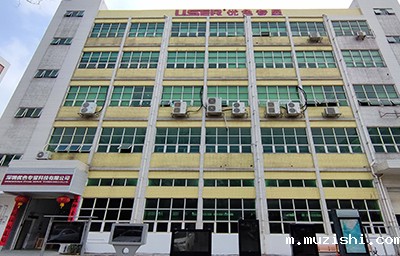 领先的技术水平